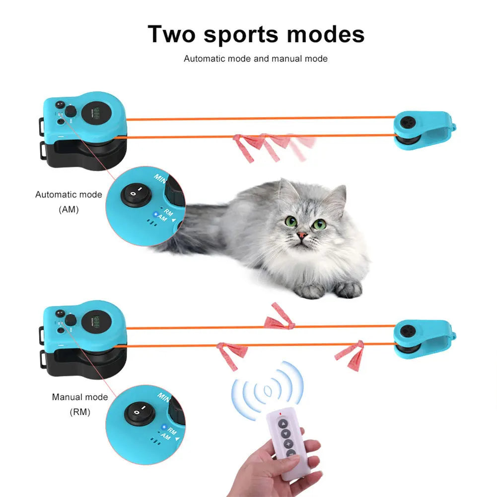 Infographic showing the two automated cat toy modes - manual for bonding play and automatic for solo indoor cat entertainment.
