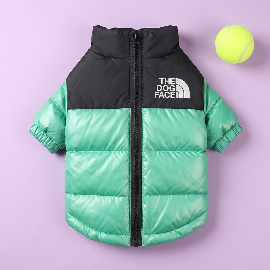 Dog jackets for winter shown in green on a purple background, highlighting the quilted puffer design.