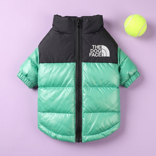 Dog jackets for winter shown in green on a purple background, highlighting the quilted puffer design.