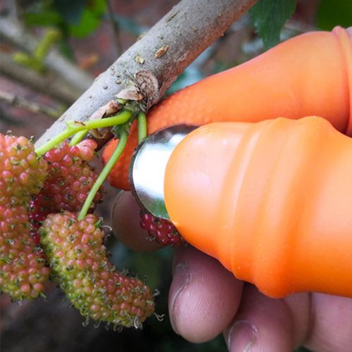 Garden knife being used to harvest a courgette from the vine, showing how the arc blade cuts cleanly without hand strain.