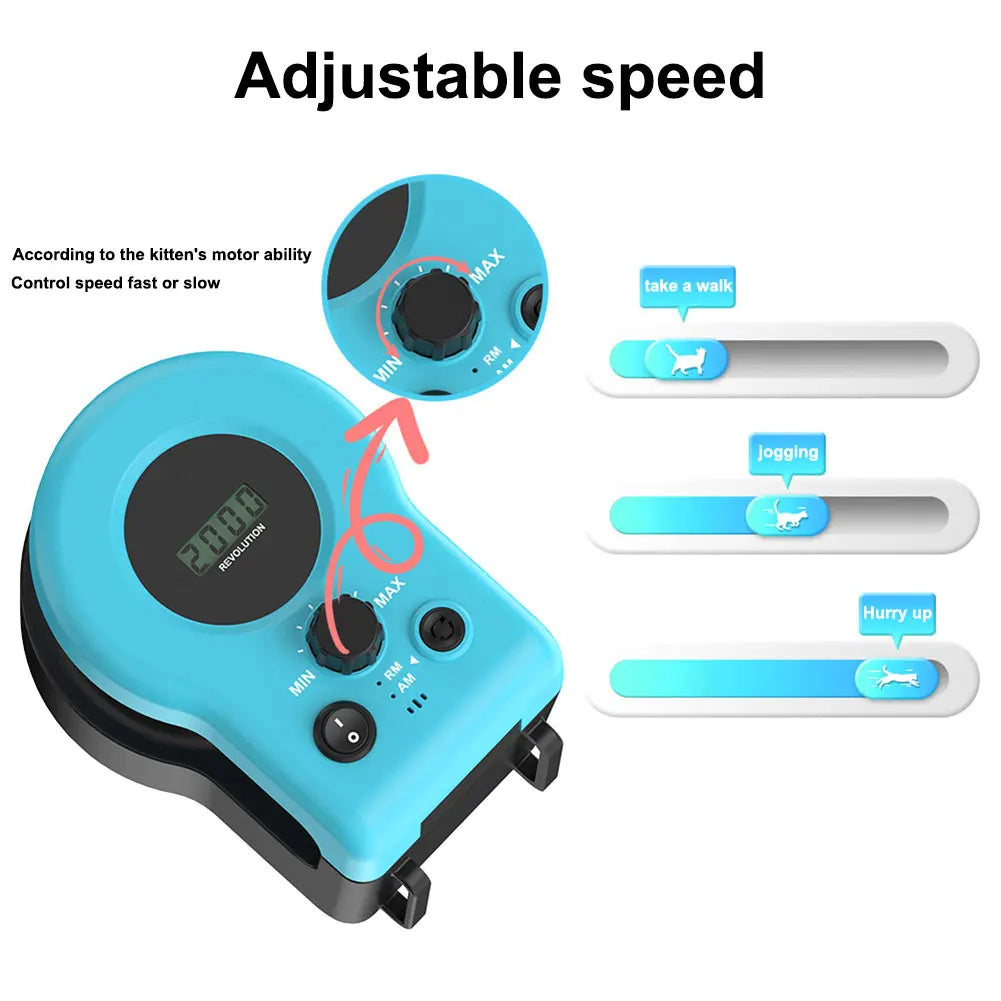 Kitten chasing the lure on the interactive kitten toy treadmill, showing how adjustable speed settings suit cats of all ages and energy levels.